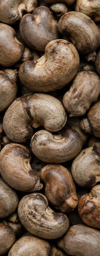Cashew Nuts