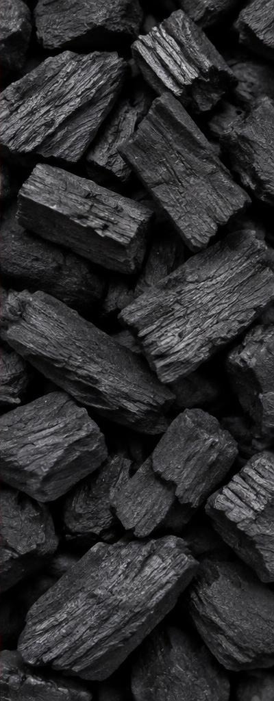Hardwood Charcoal